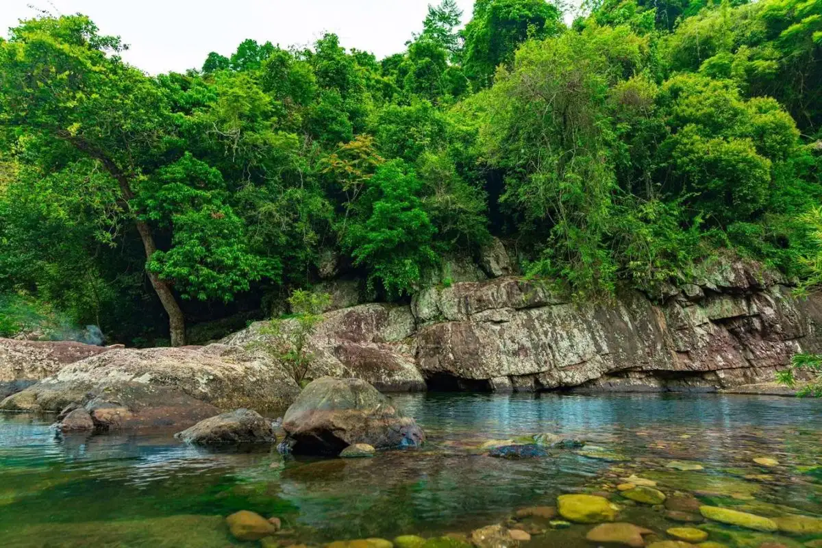 Bac Giang Trek 2 Days An Lac, Khe Ro Forest